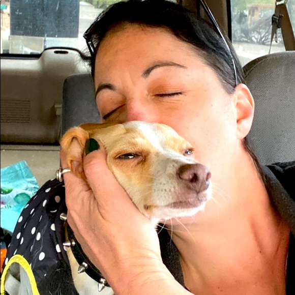 Meet your Posher, Elisabeth - Picture 1 of 1